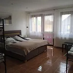 V Merunkovem Sadu Apartment