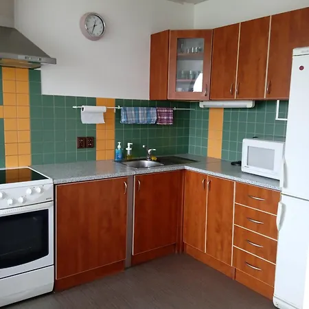 V Merunkovem Sadu Apartment *