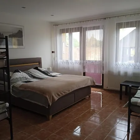V Merunkovem Sadu Apartment